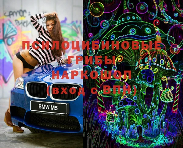 ГАЛЛЮЦИНОГЕННЫЕ ГРИБЫ Белокуриха