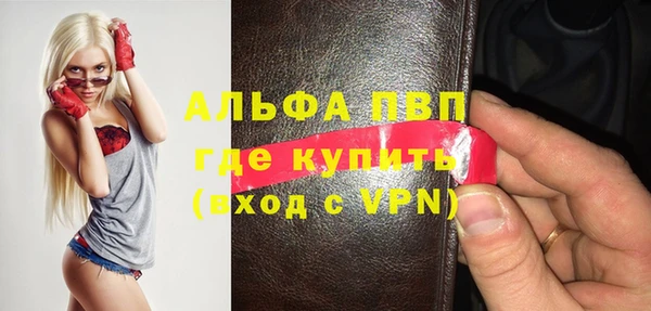 ГАЛЛЮЦИНОГЕННЫЕ ГРИБЫ Белокуриха