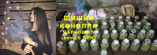ГАЛЛЮЦИНОГЕННЫЕ ГРИБЫ Белокуриха